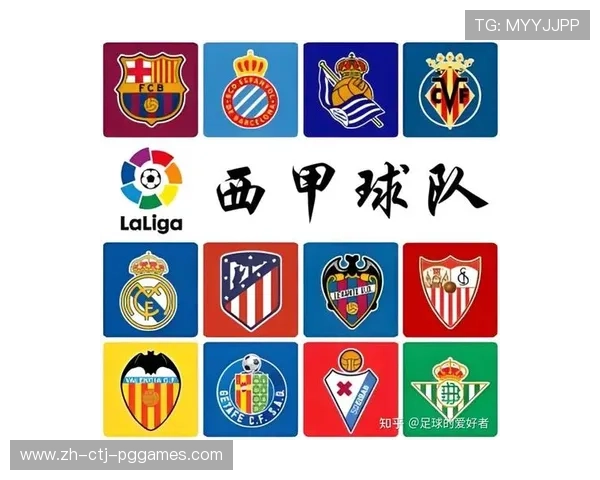 法甲球队外援整体分析及引援策略探讨