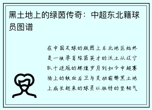 黑土地上的绿茵传奇：中超东北籍球员图谱